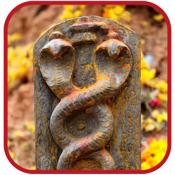 naga chaturthi